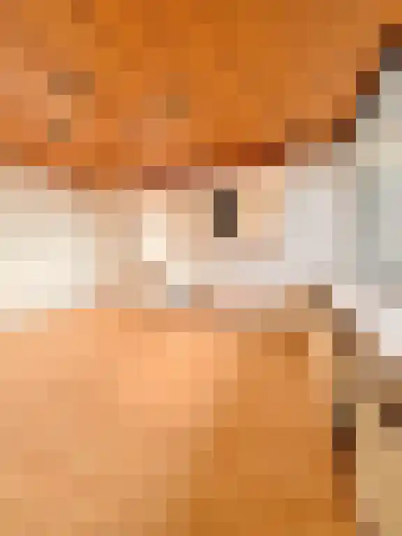 Abdijlaan 03 Uden foto 2