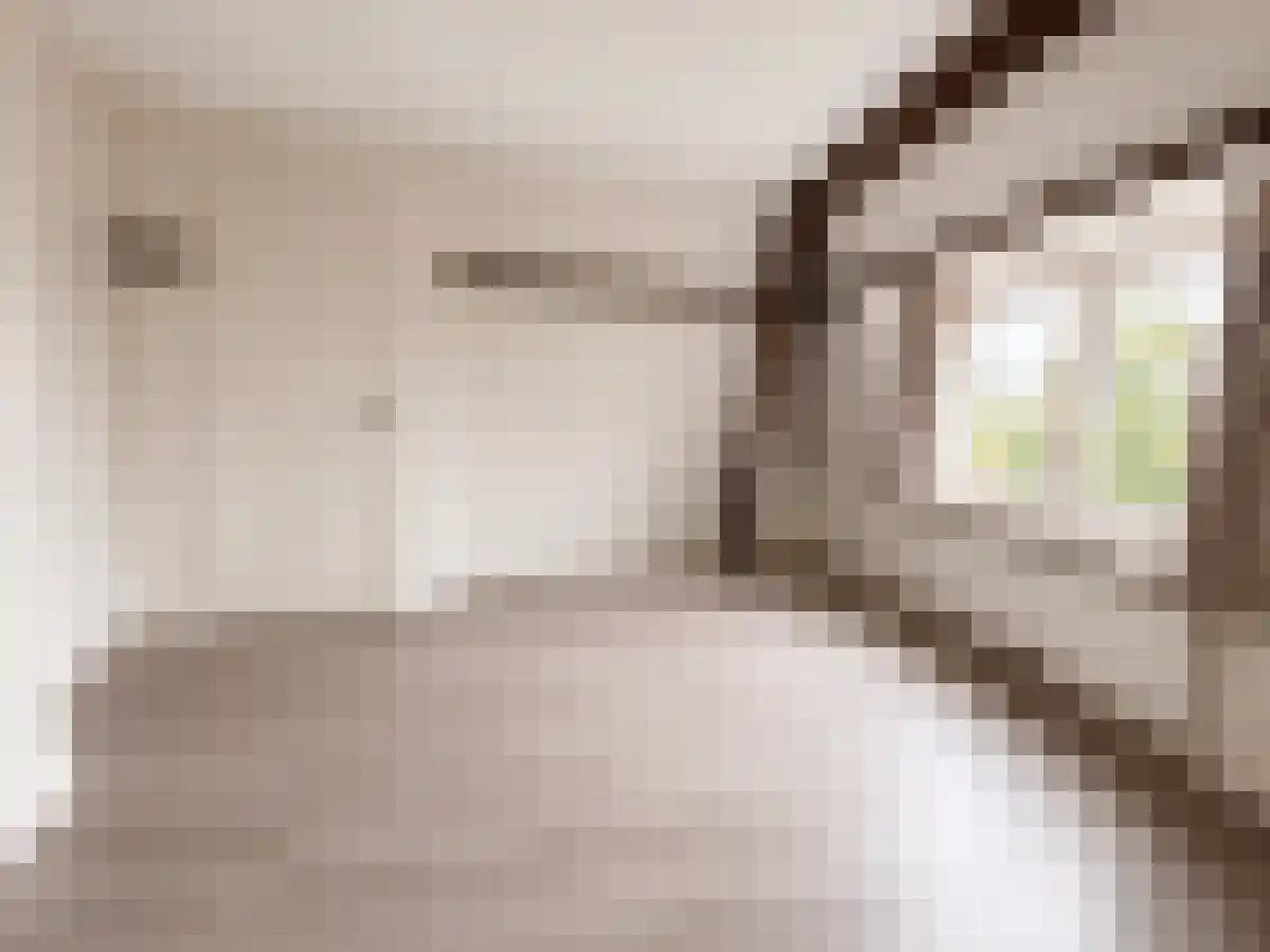 Abdijlaan 03 Uden thumbnail 5