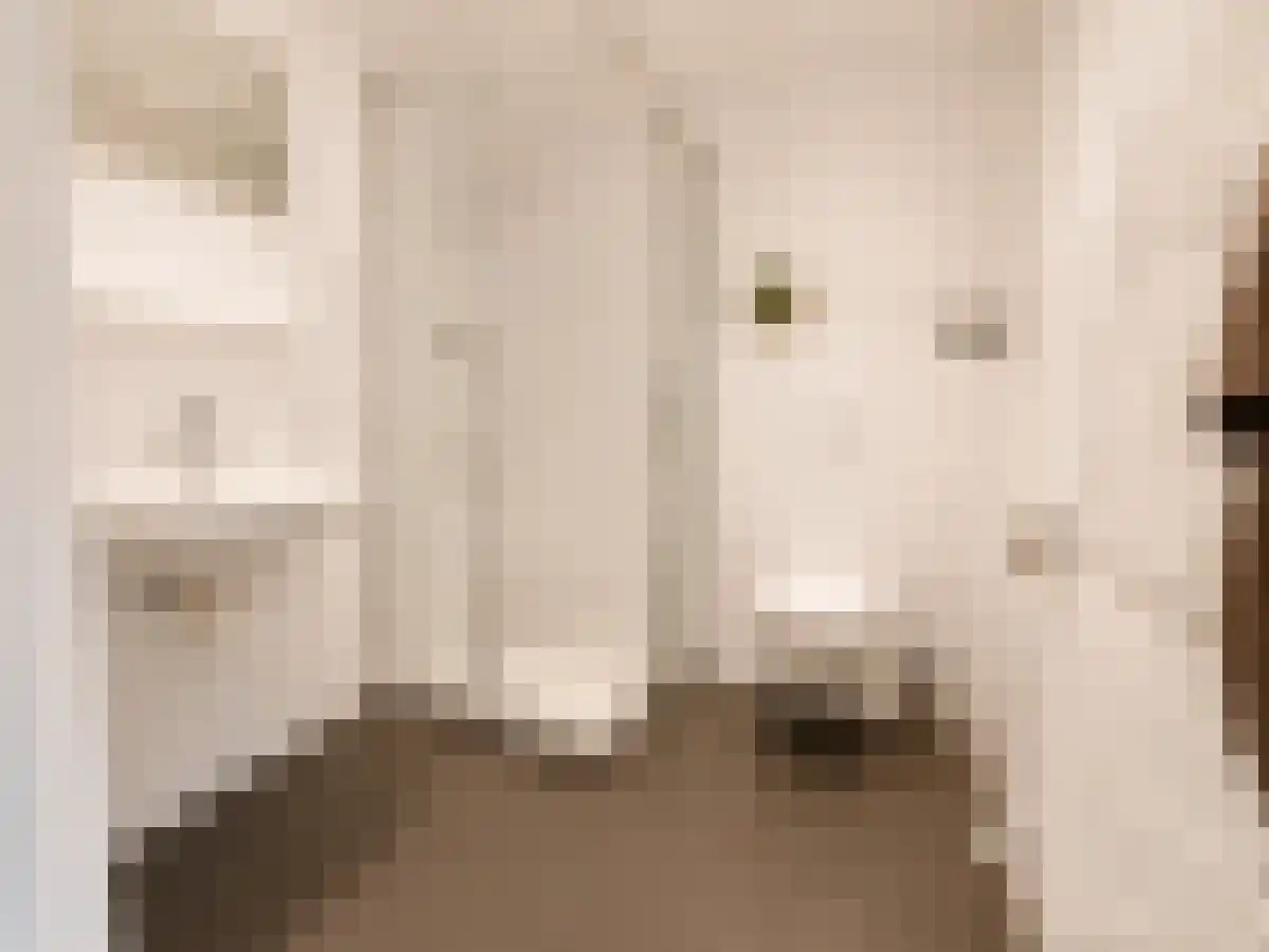 Abdijlaan 03 Uden thumbnail 6