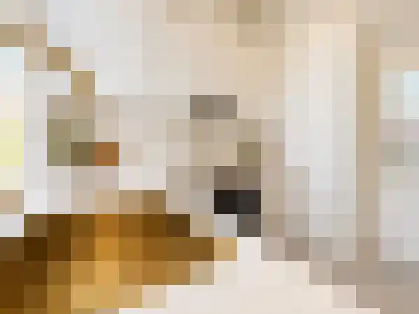 Abdijlaan 1 1 Uden thumbnail 10
