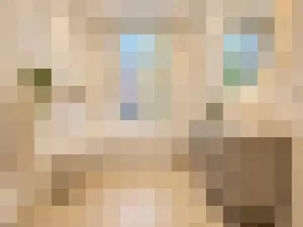Abdijlaan 1 1 Uden thumbnail 7