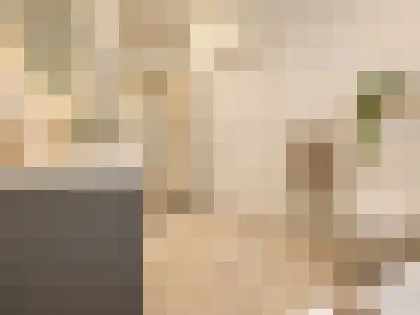 Abdijlaan 1 1 Uden thumbnail 8