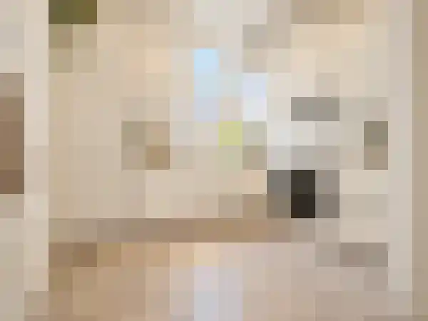 Abdijlaan 1 1 Uden thumbnail 9