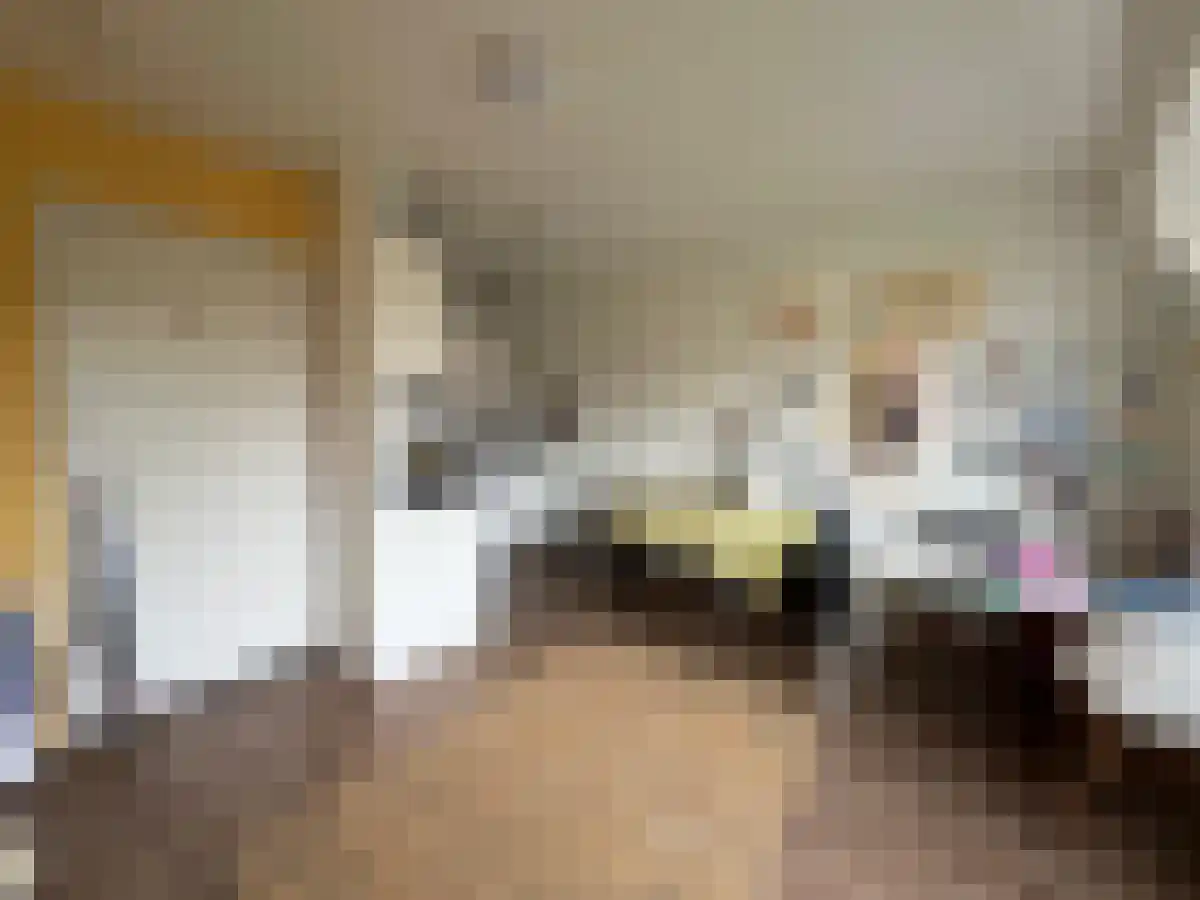 Abdijlaan 1 Uden foto 2