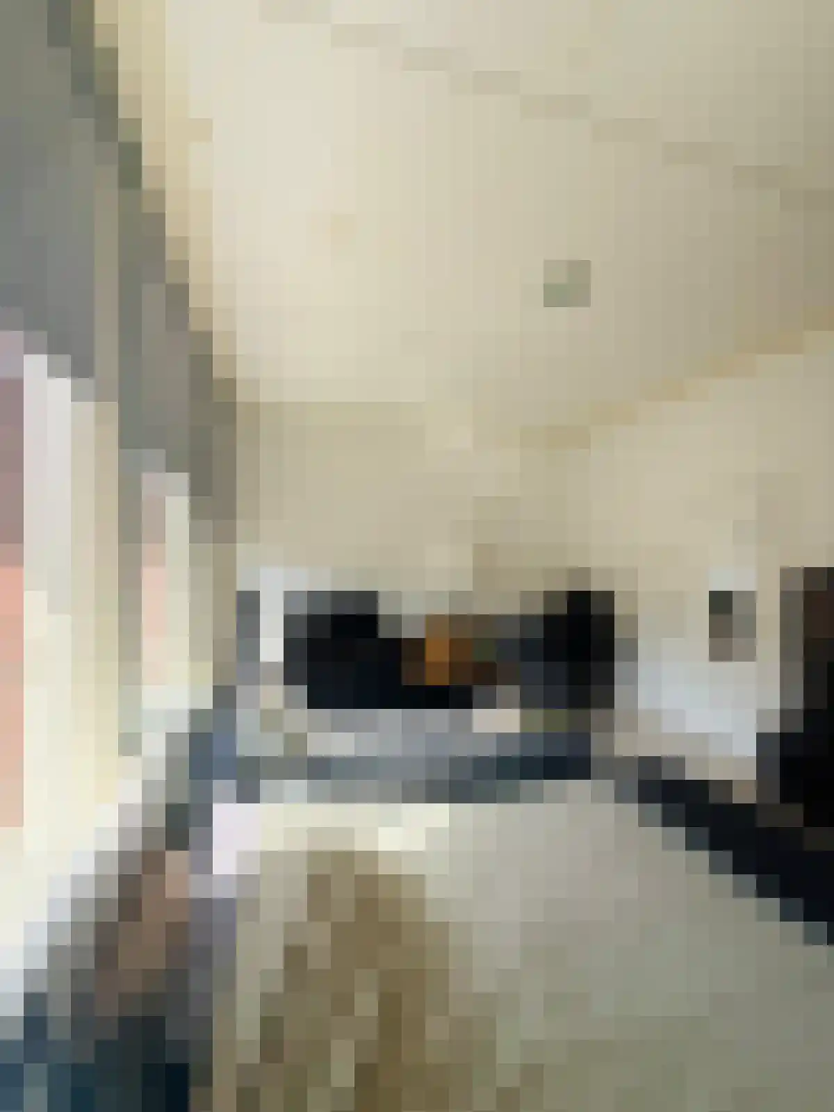 Abdijlaan 1 Uden foto 2