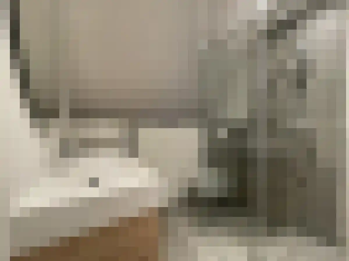 Abdijlaan 1 Uden foto 3