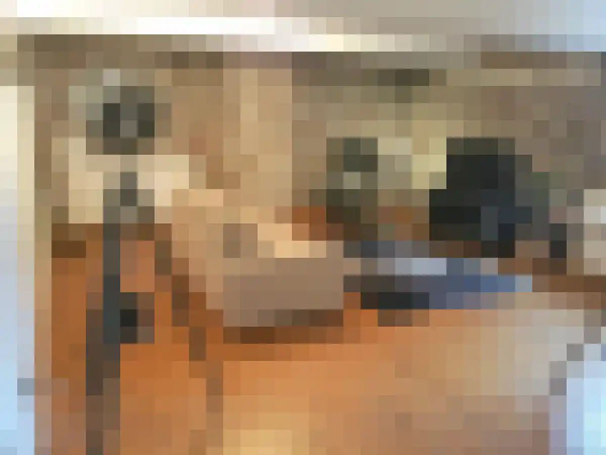 Abdijlaan 1 Uden foto 3