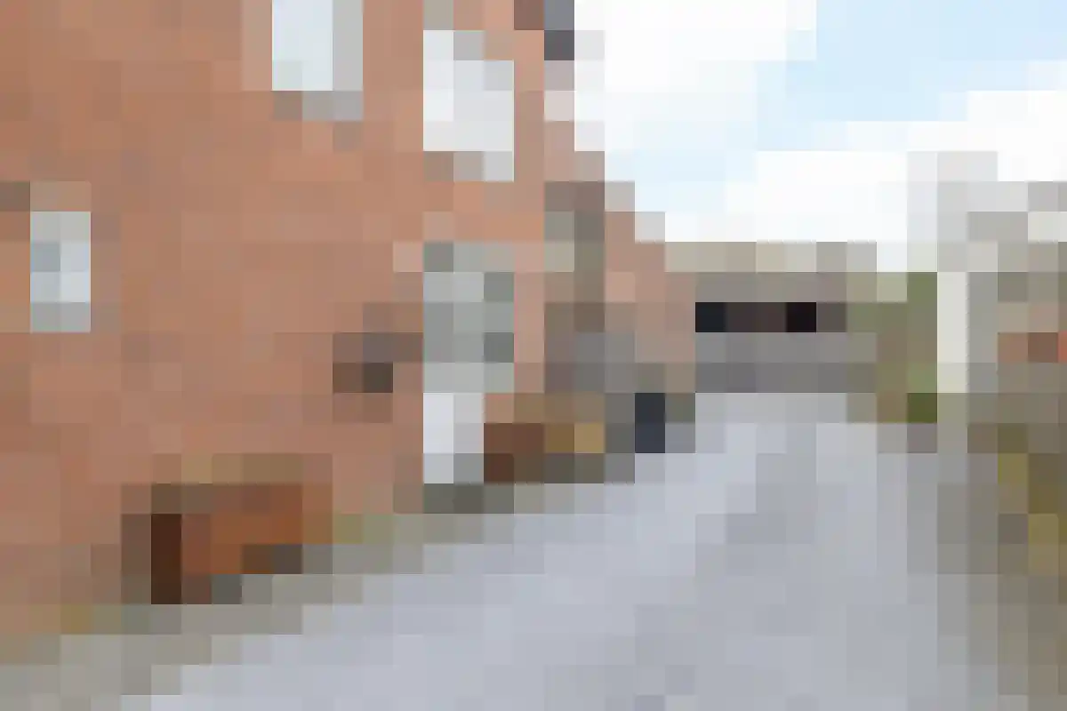 Abdijlaan 1 Uden foto 3