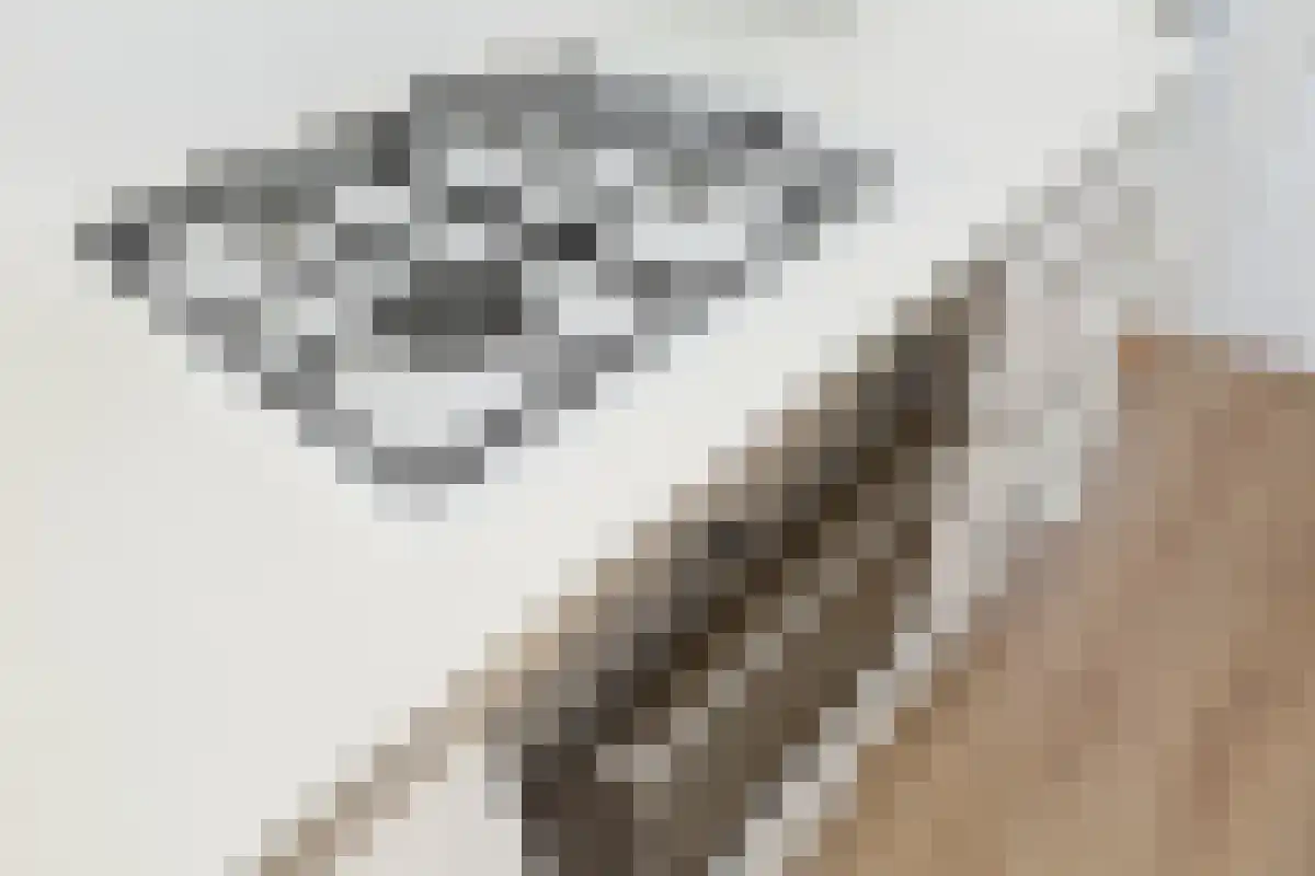 Abdijlaan 1 Uden thumbnail 5