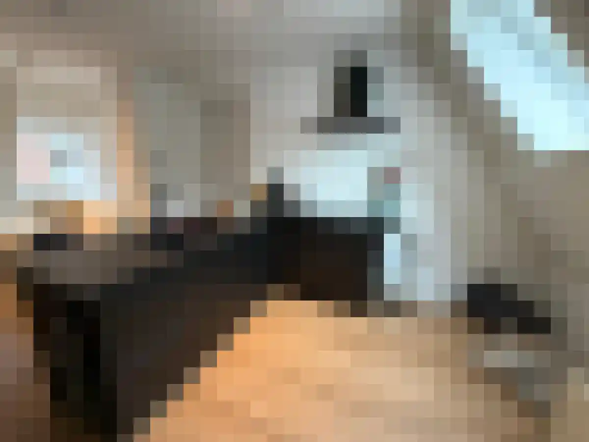 Abdijlaan 1 Uden thumbnail 5