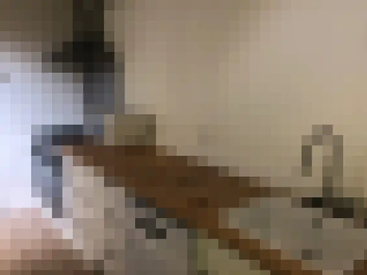 Abdijlaan 1 Uden thumbnail 5