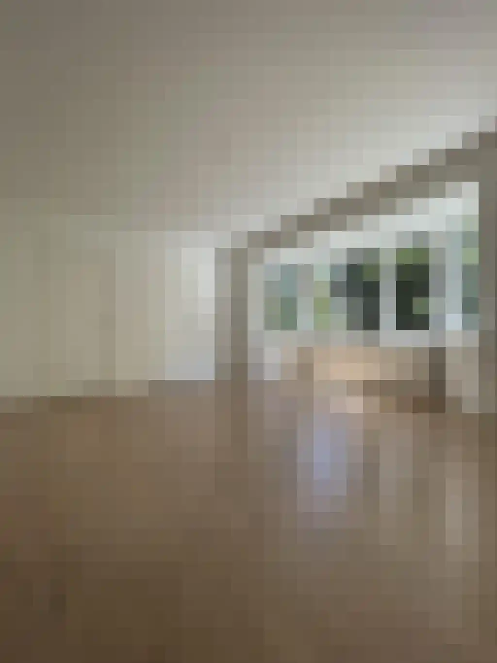 Abdijlaan 1 Uden thumbnail 5