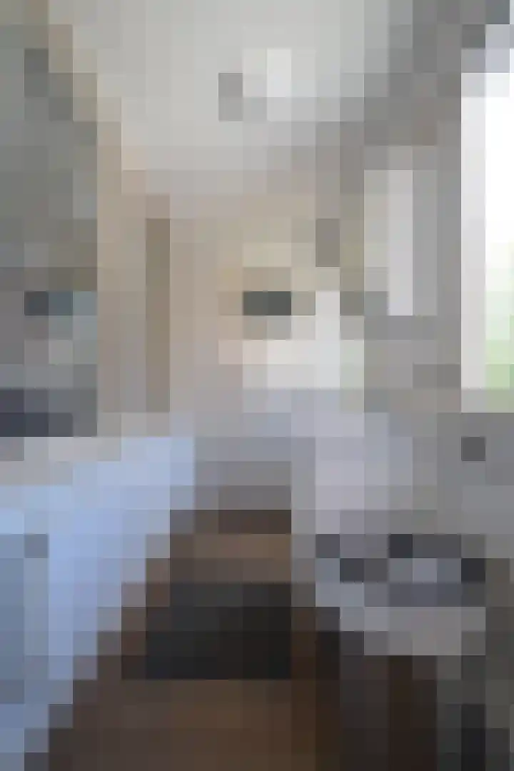 Abdijlaan 1 Uden thumbnail 6