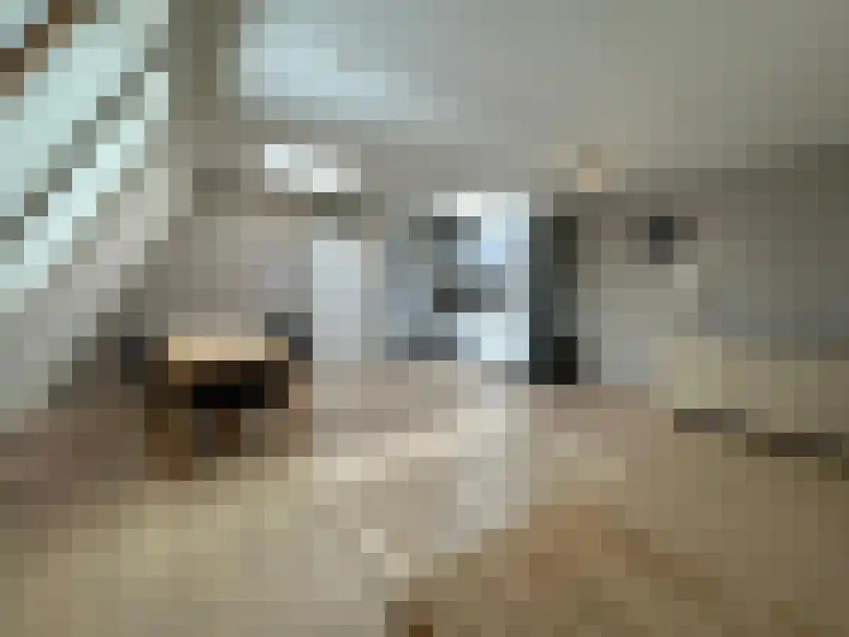 Abdijlaan 1 Uden thumbnail 6