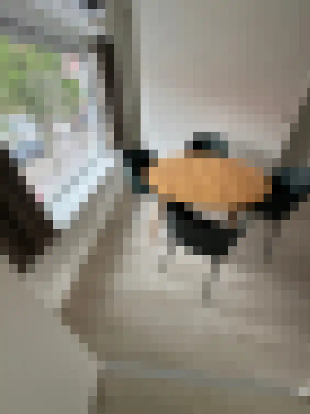 Abdijlaan 1 Uden thumbnail 6