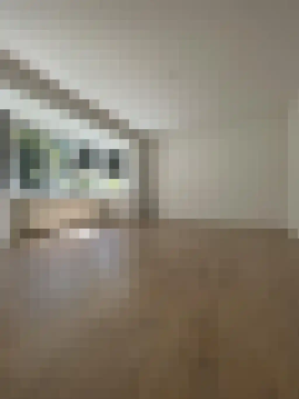 Abdijlaan 1 Uden thumbnail 6