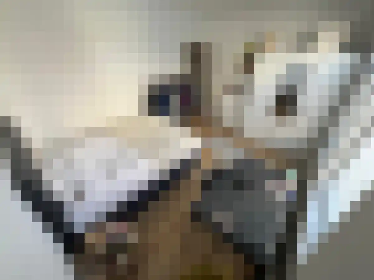 Abdijlaan 1 Uden thumbnail 7