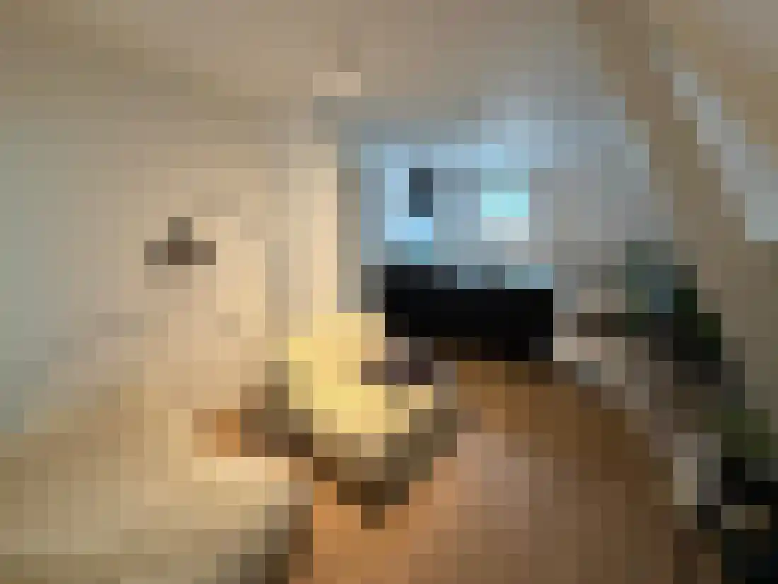 Abdijlaan 1 Uden thumbnail 9