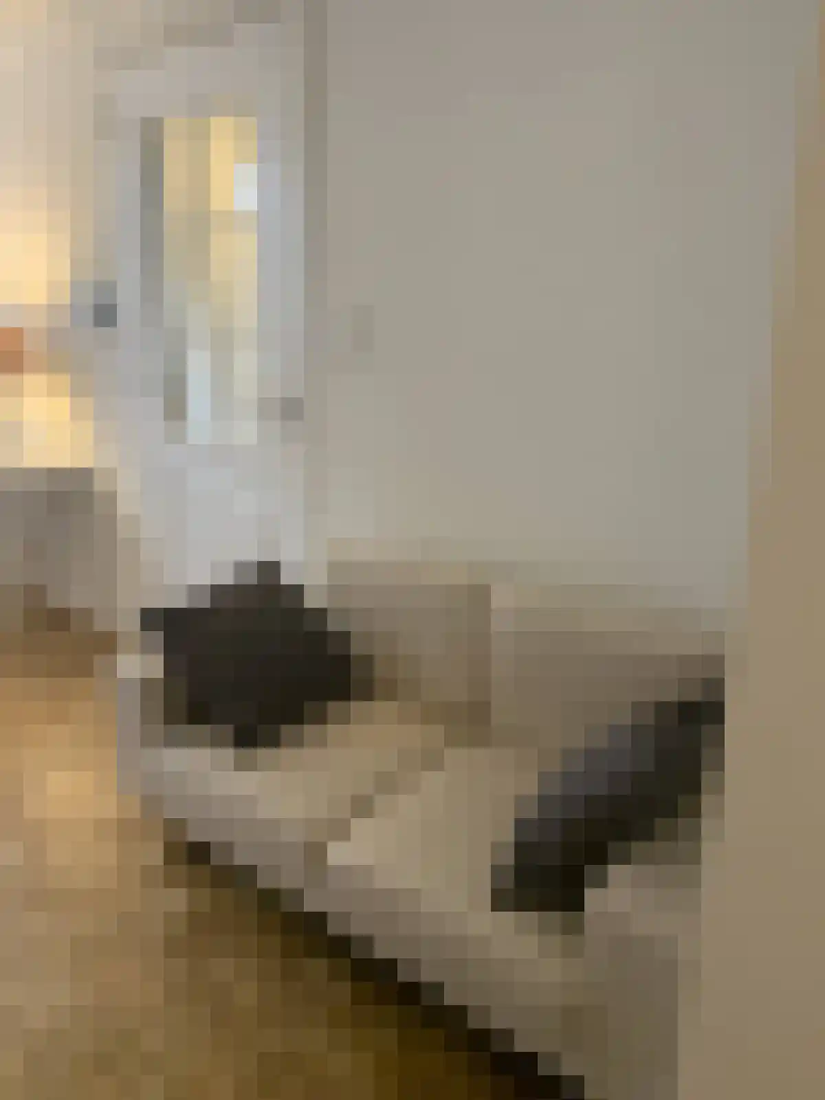 Abdijlaan 10 Uden thumbnail 4