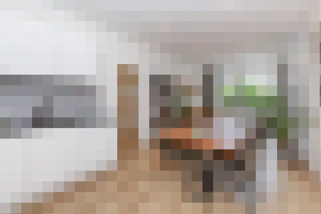 Abdijlaan 10 Uden thumbnail 6