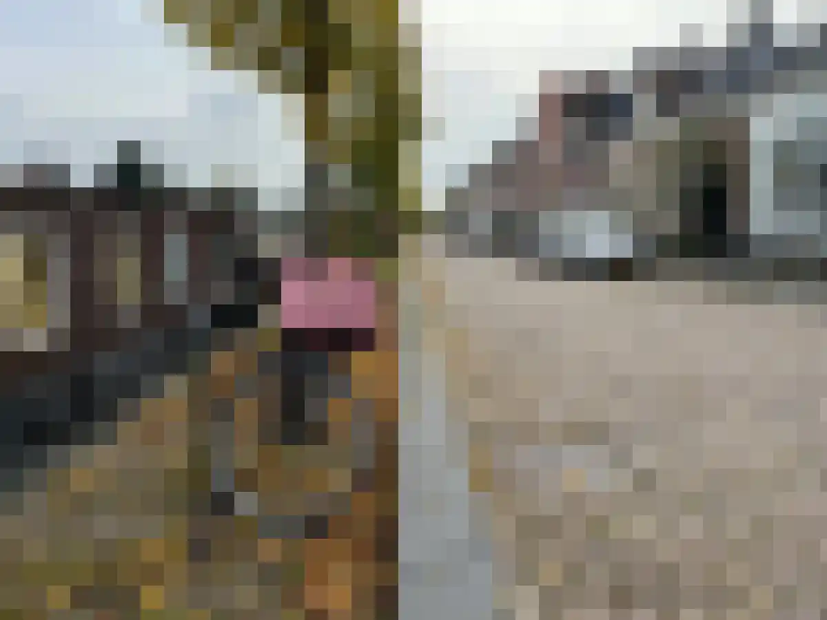 Abdijlaan 1003 Uden thumbnail 6