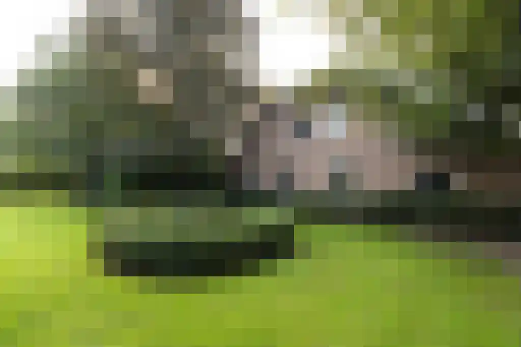 Abdijlaan 101 Uden foto 2