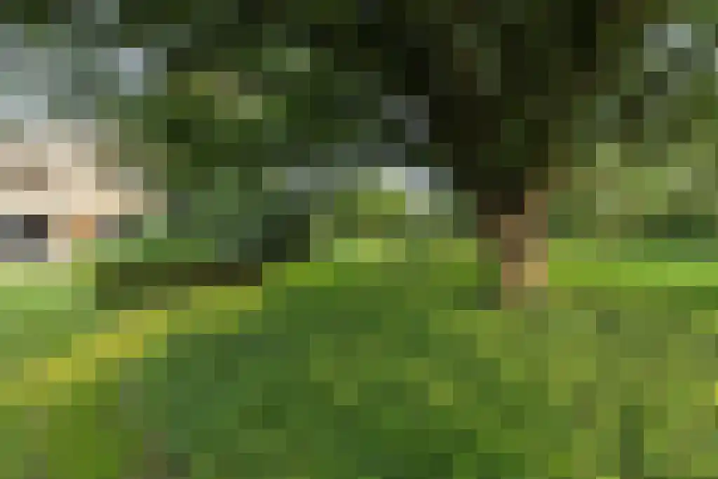 Abdijlaan 101 Uden thumbnail 6