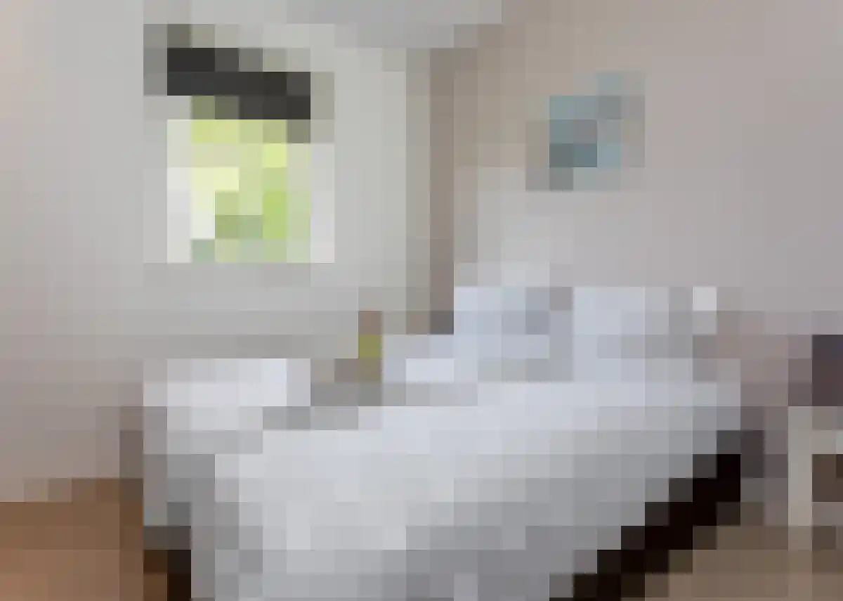 Abdijlaan 102 55 Uden thumbnail 5