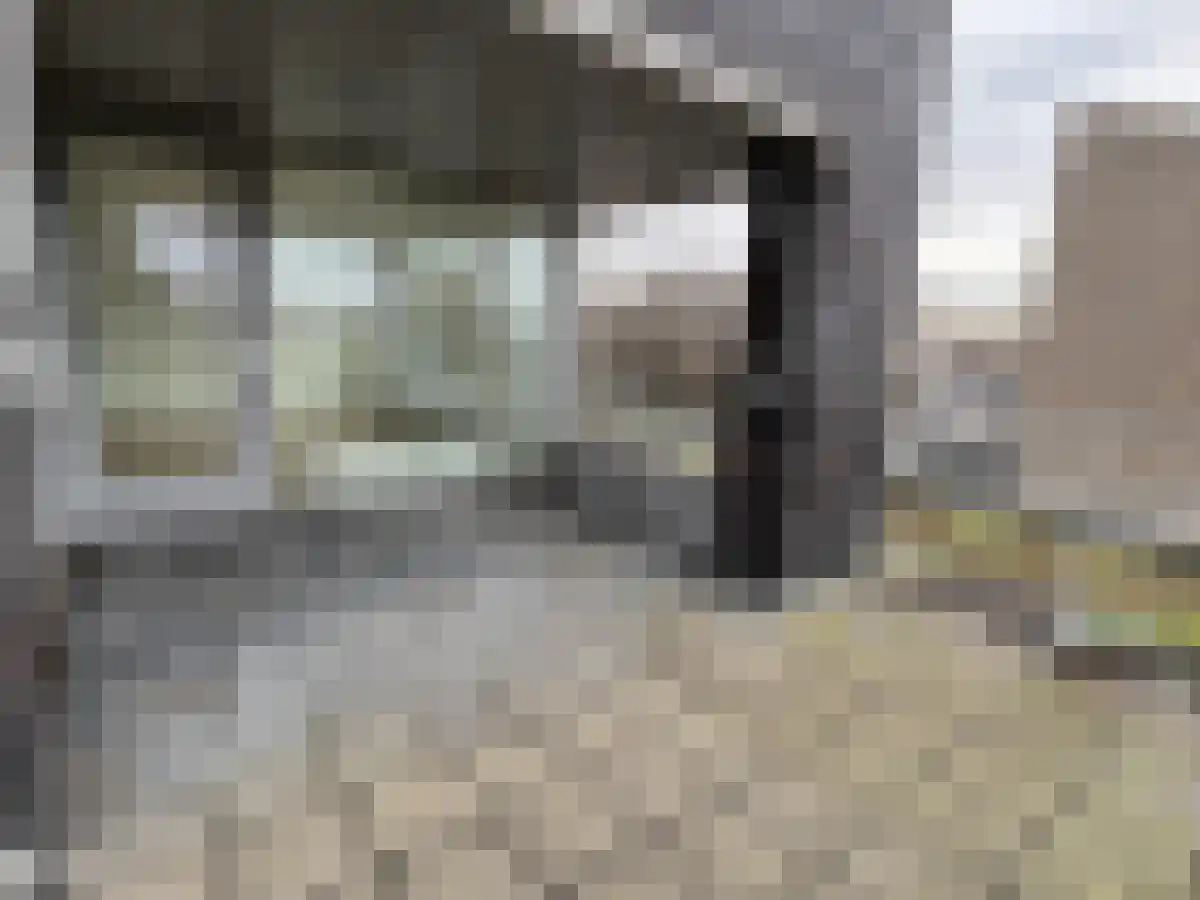 Abdijlaan 108 Uden thumbnail 5