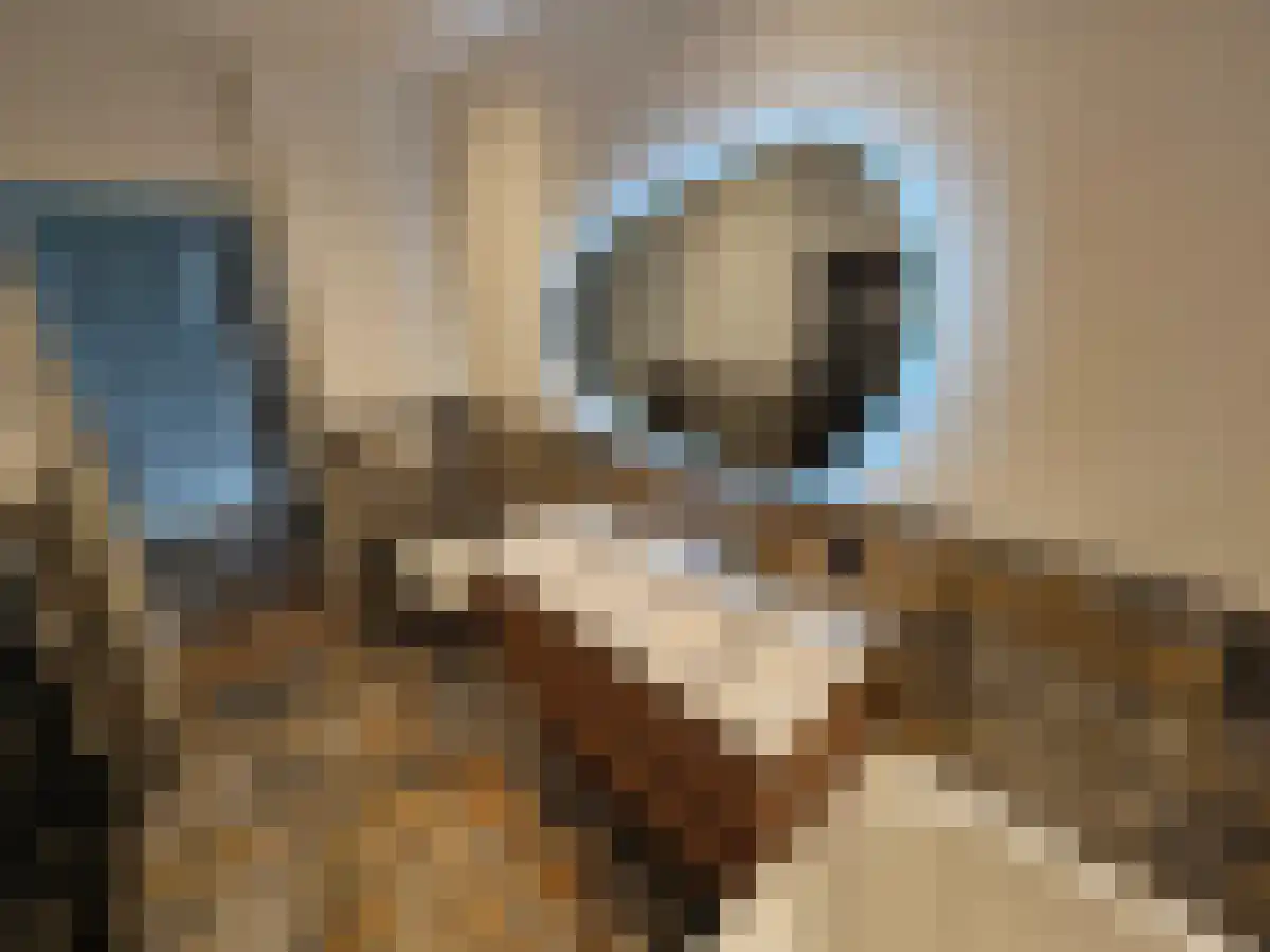 Abdijlaan 11 B Uden thumbnail 4