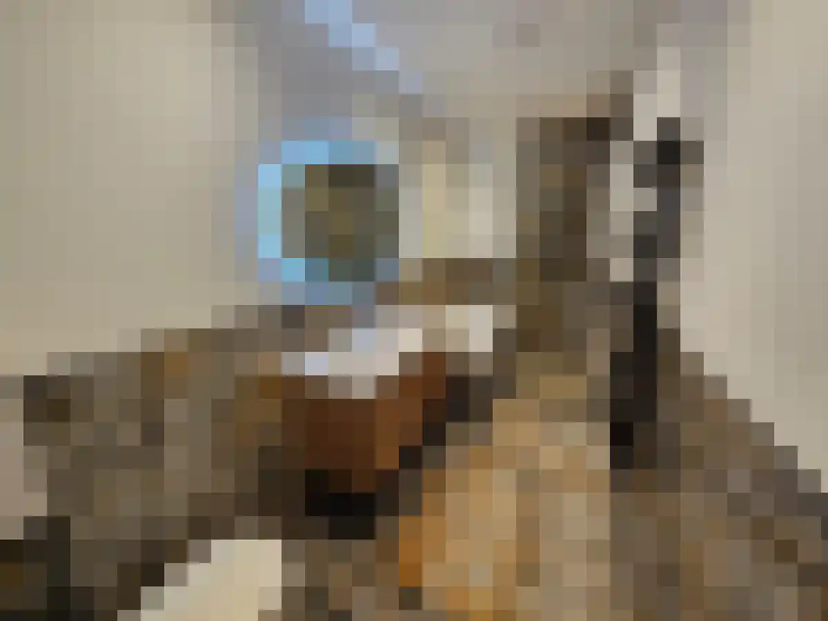 Abdijlaan 11 B Uden thumbnail 6