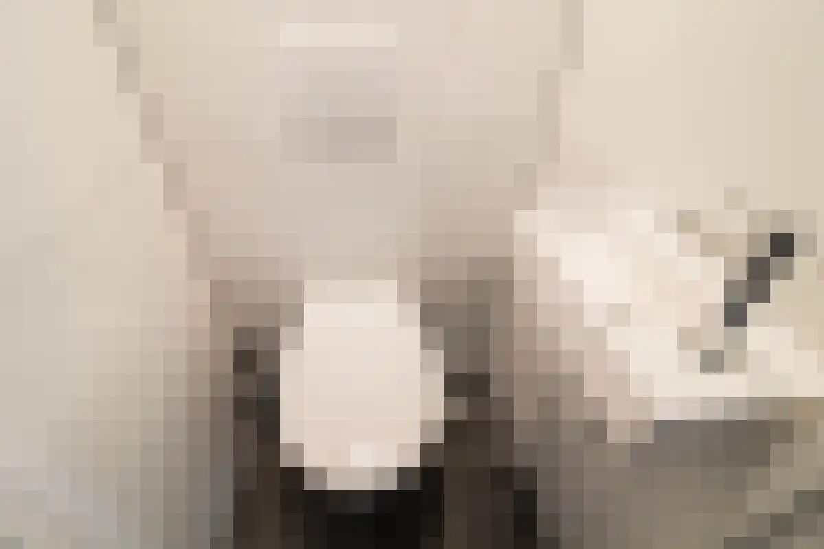 Abdijlaan 11 Uden thumbnail 4