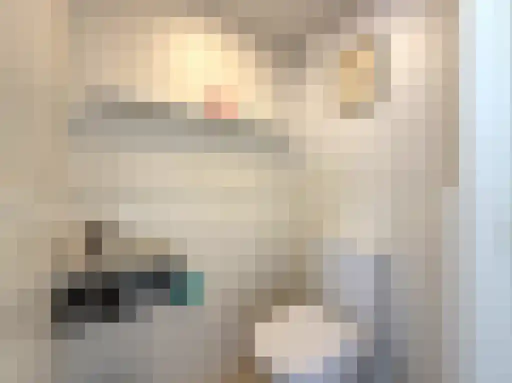 Abdijlaan 11 Uden thumbnail 4