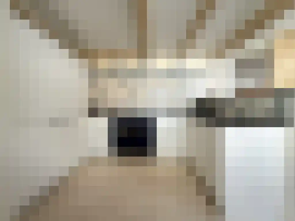 Abdijlaan 11 Uden thumbnail 5