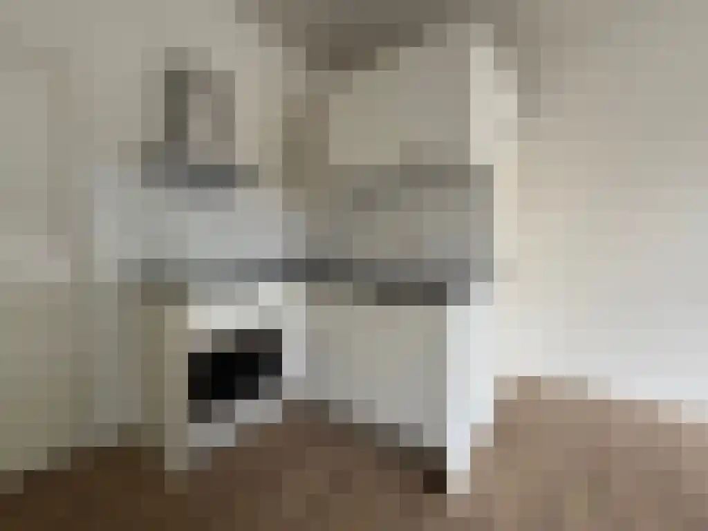 Abdijlaan 11 Uden thumbnail 5