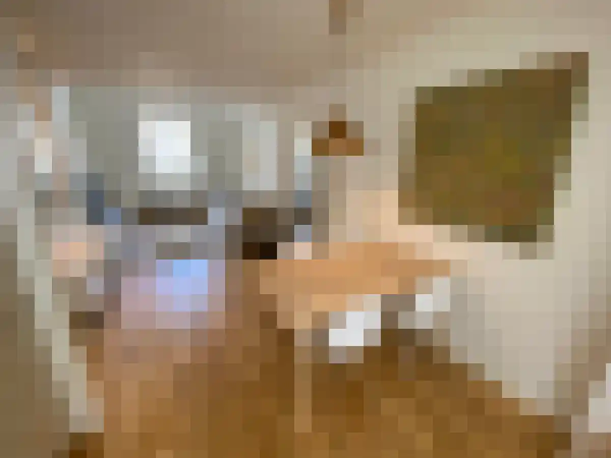 Abdijlaan 11 Uden thumbnail 6