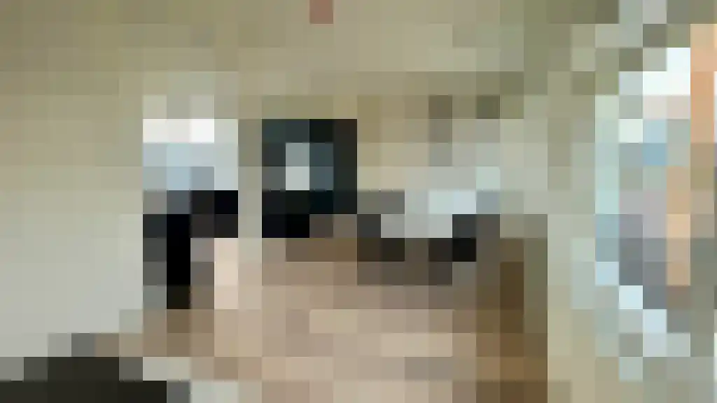 Abdijlaan 110 Uden foto 2