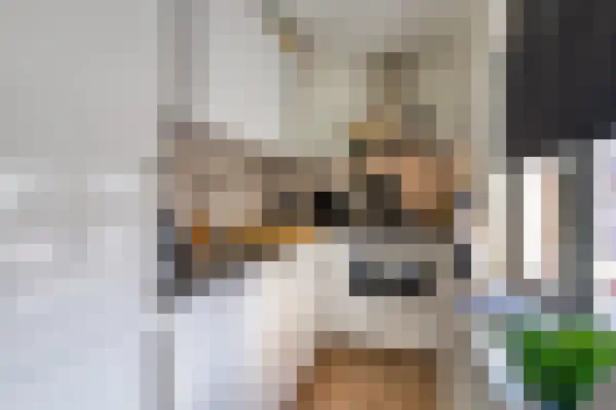 Abdijlaan 110 Uden thumbnail 6