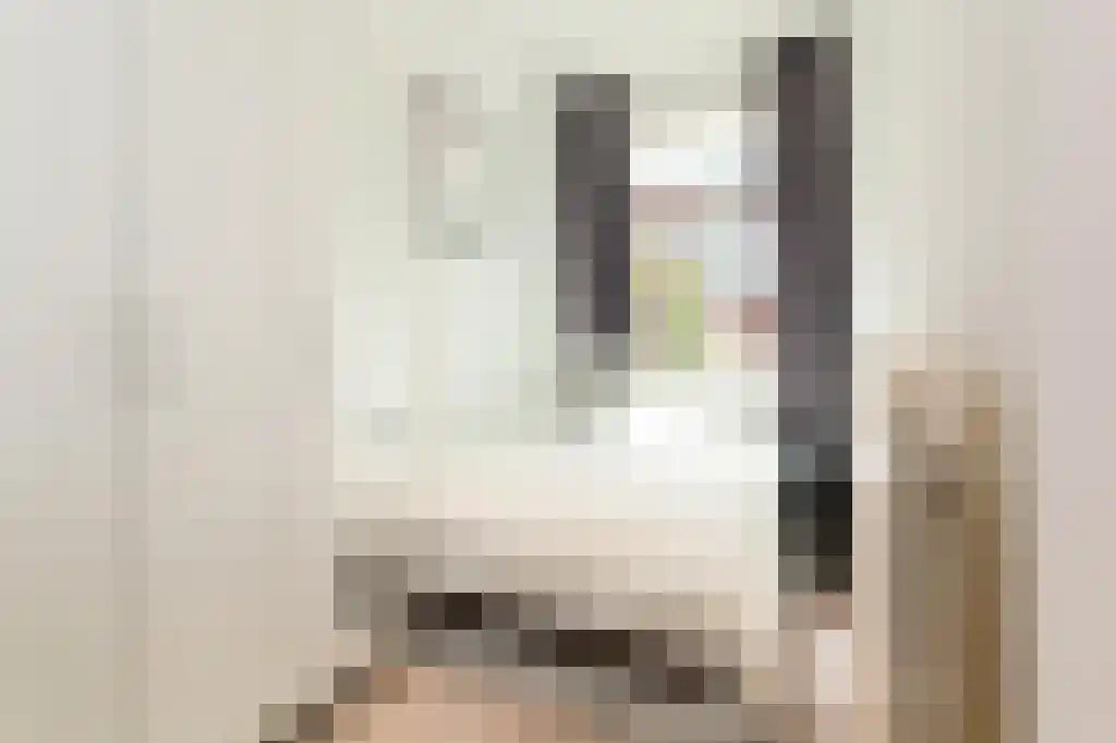 Abdijlaan 113 H Uden thumbnail 4