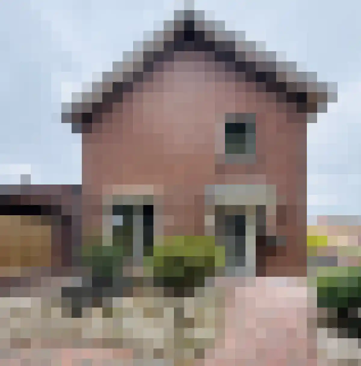 Abdijlaan 114 Uden