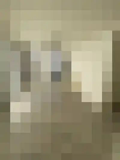 Abdijlaan 114 Uden thumbnail 29