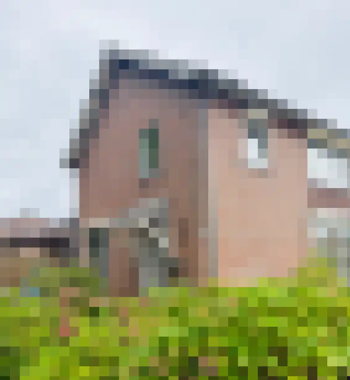 Abdijlaan 114 Uden foto 3