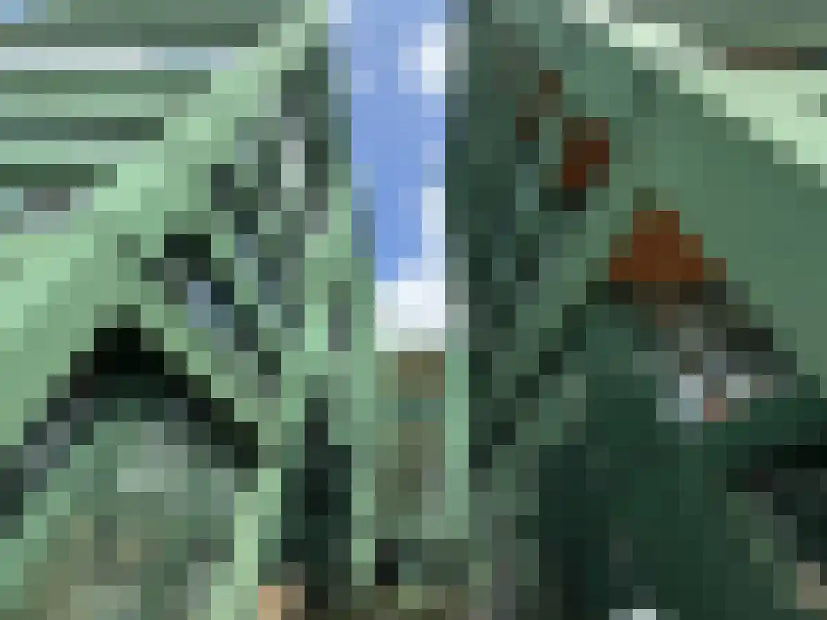 Abdijlaan 1140 L Uden thumbnail 4