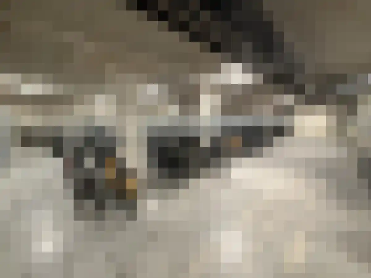 Abdijlaan 1140 Uden thumbnail 6