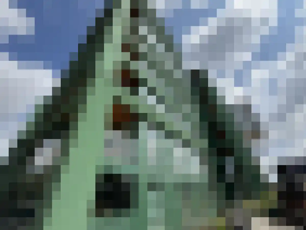 Abdijlaan 1140 W Uden thumbnail 5