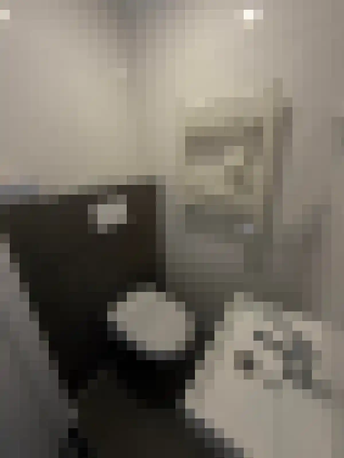 Abdijlaan 115 Uden foto 2