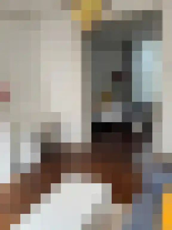 Abdijlaan 115 Uden foto 2