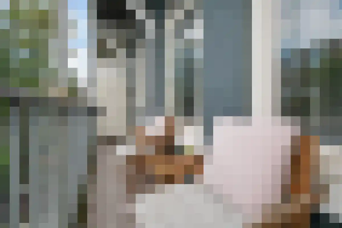 Abdijlaan 118 Uden thumbnail 5