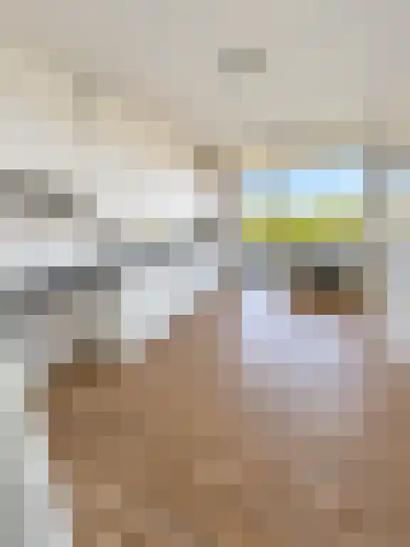 Abdijlaan 118 Uden thumbnail 5