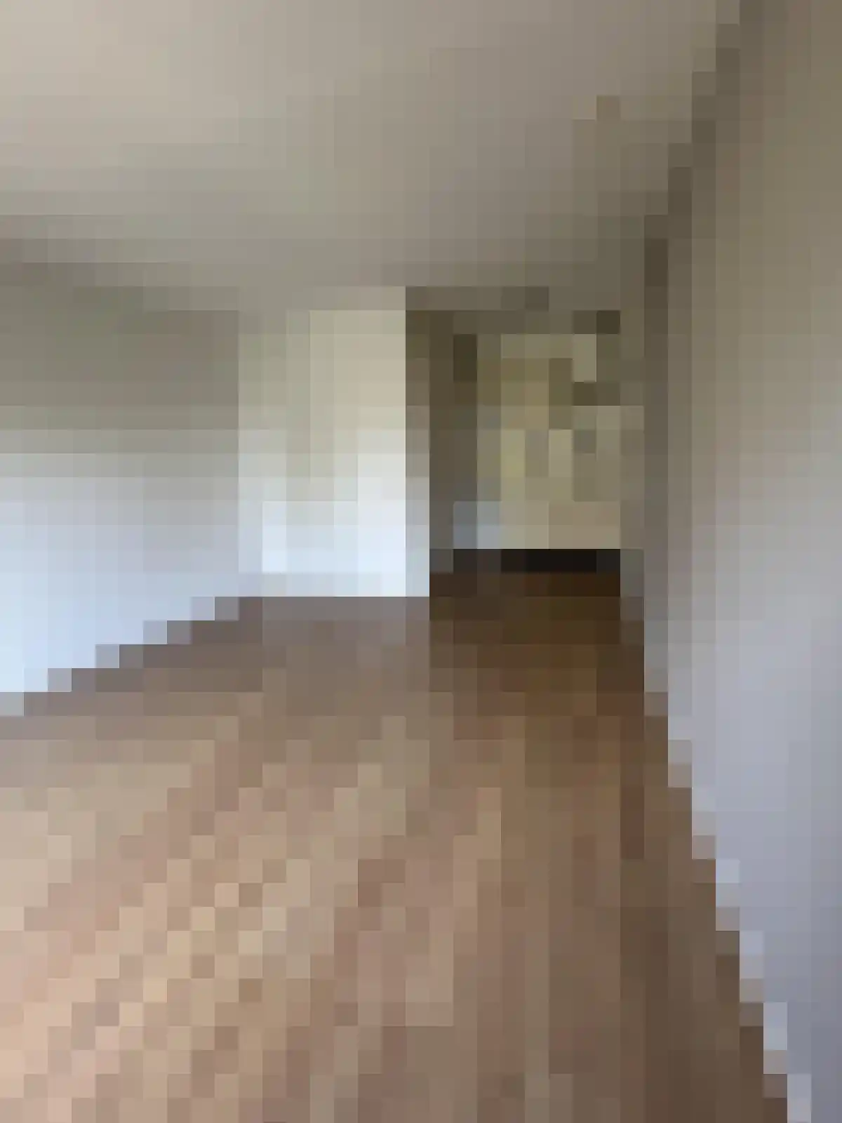 Abdijlaan 119 D Uden thumbnail 6